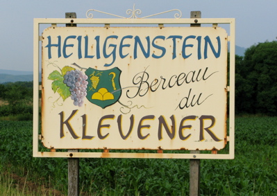 Alsace druvor