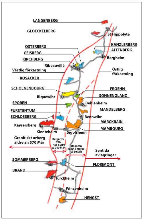 Osterberg S Chart